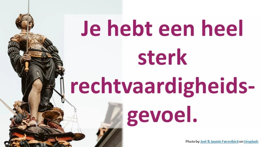 Je hebt een heel sterk rechtvaardigheidsgevoel.